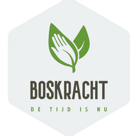 Logo_Boskracht_web_Def